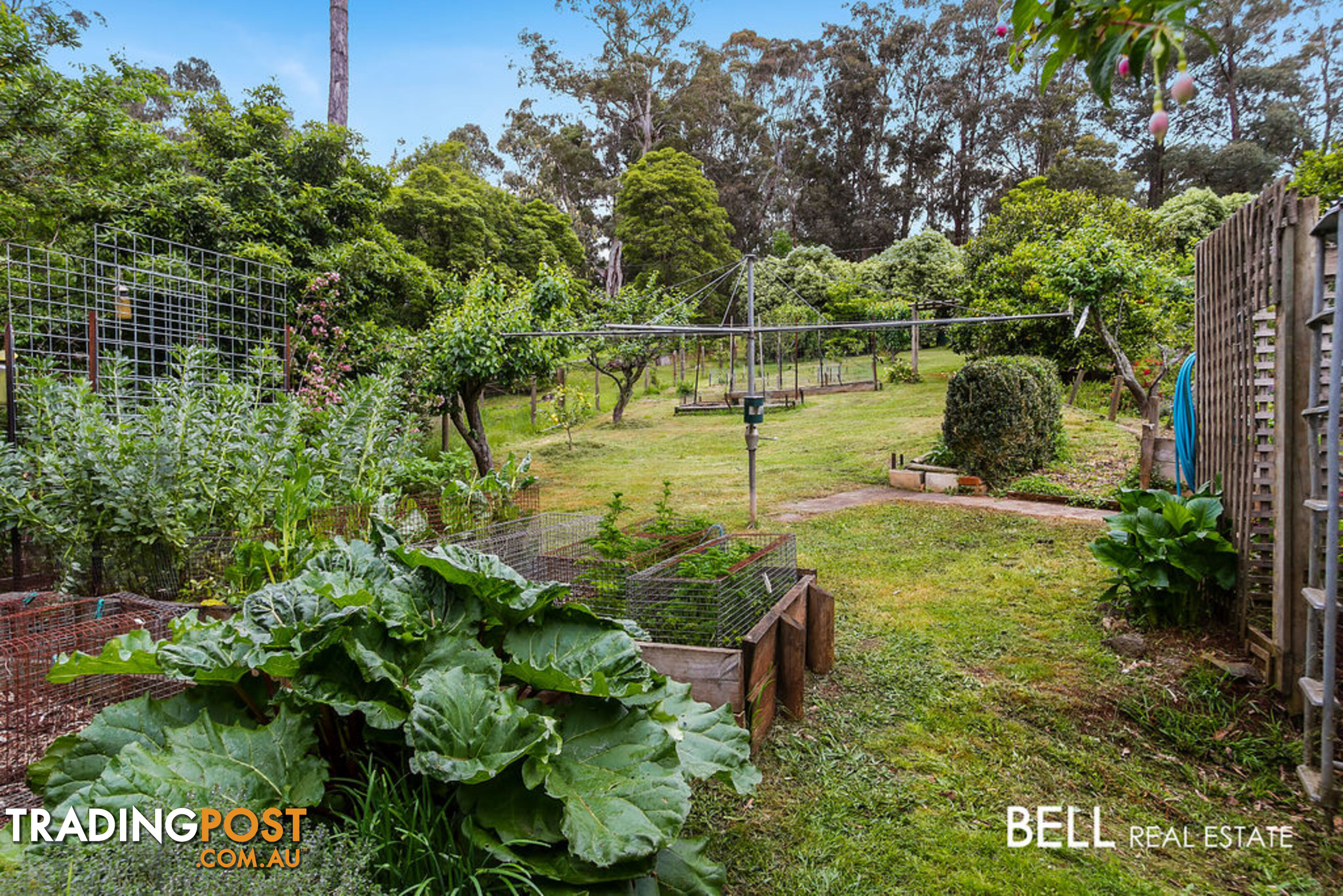 411 Belgrave-Gembrook Road EMERALD VIC 3782