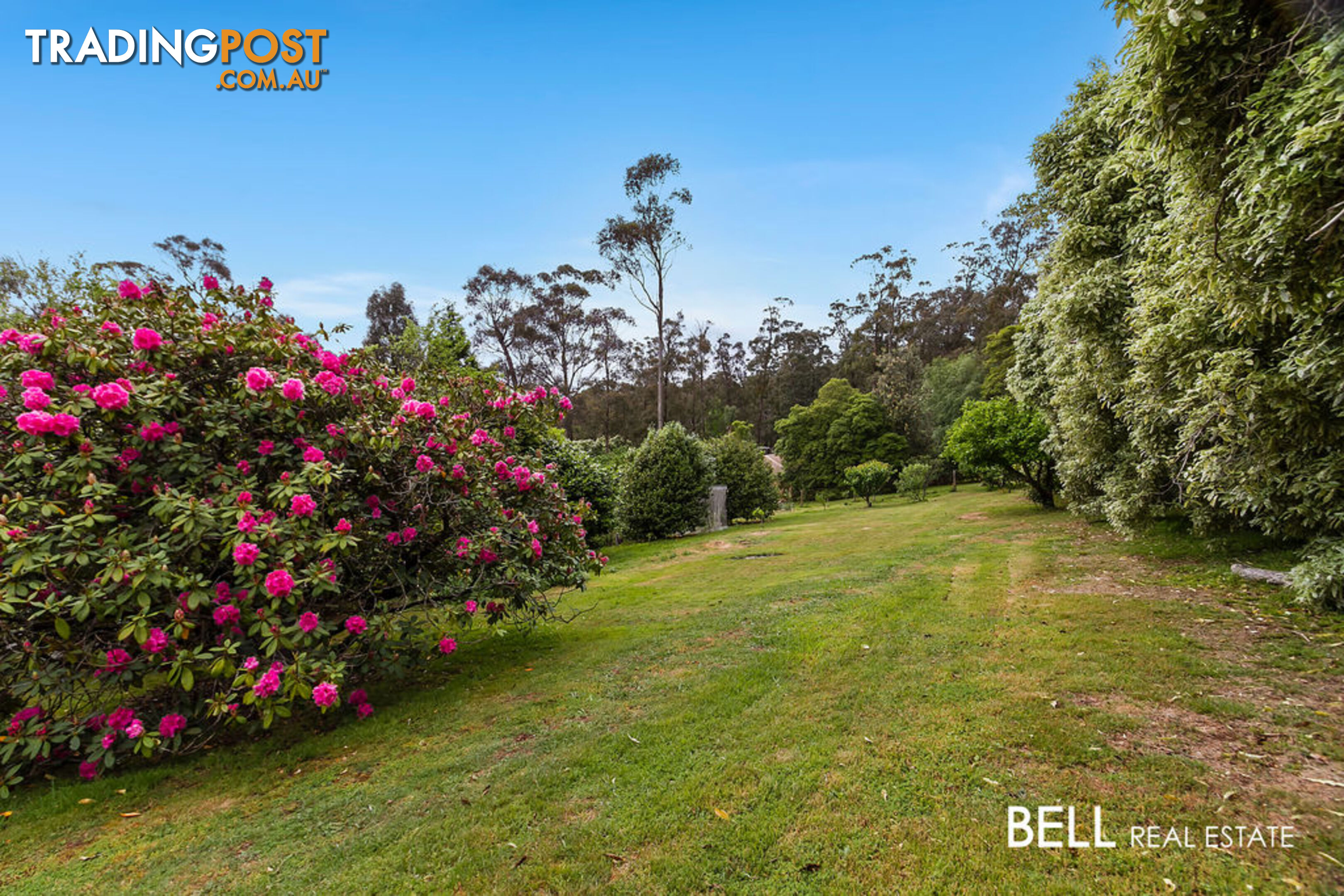 411 Belgrave-Gembrook Road EMERALD VIC 3782