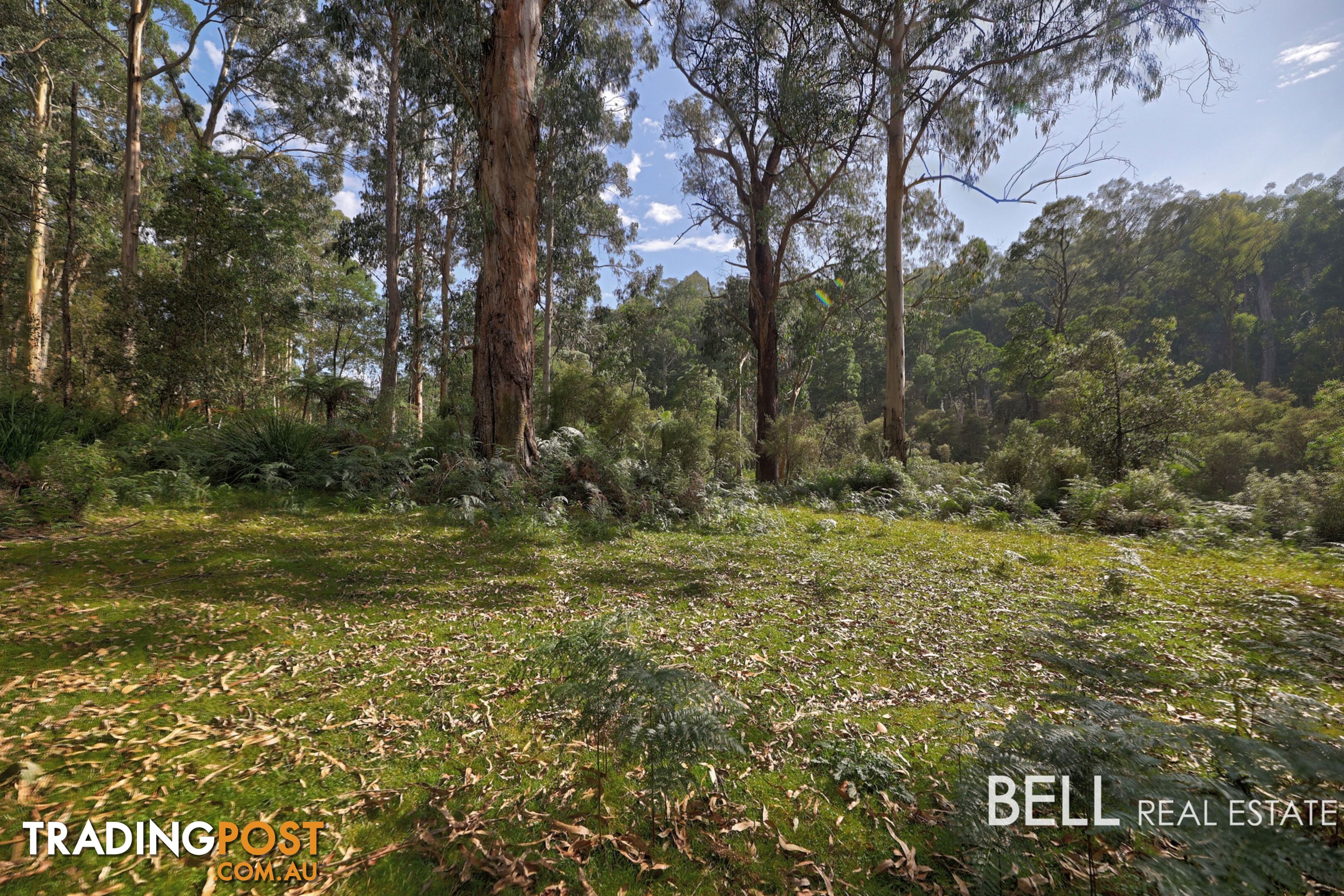 305 Gembrook Tonimbuk Road GEMBROOK VIC 3783