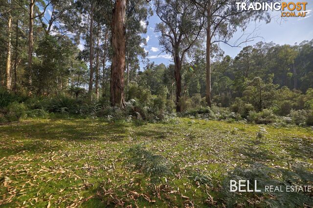 305 Gembrook Tonimbuk Road GEMBROOK VIC 3783