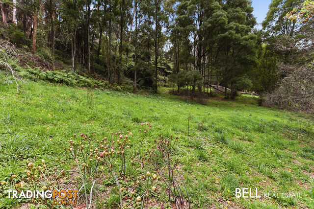 29 Selby Aura Road MENZIES CREEK VIC 3159