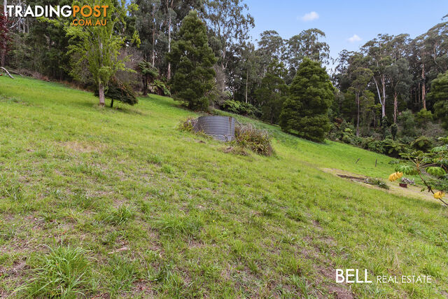 29 Selby Aura Road MENZIES CREEK VIC 3159