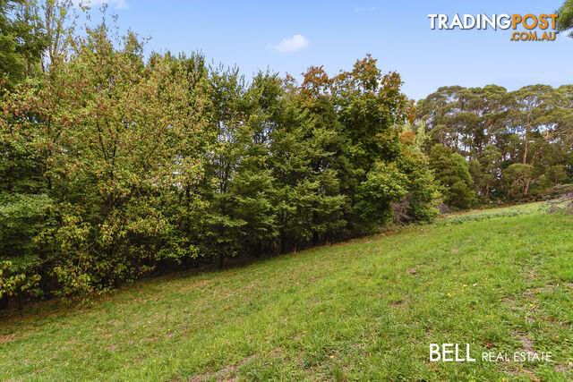 29 Selby Aura Road MENZIES CREEK VIC 3159