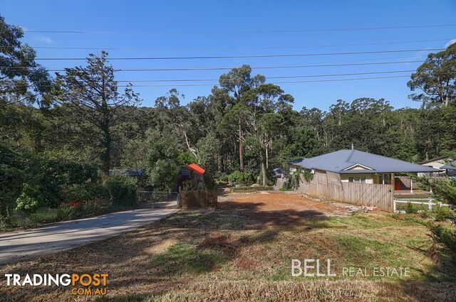 19 Edmunds Road COCKATOO VIC 3781