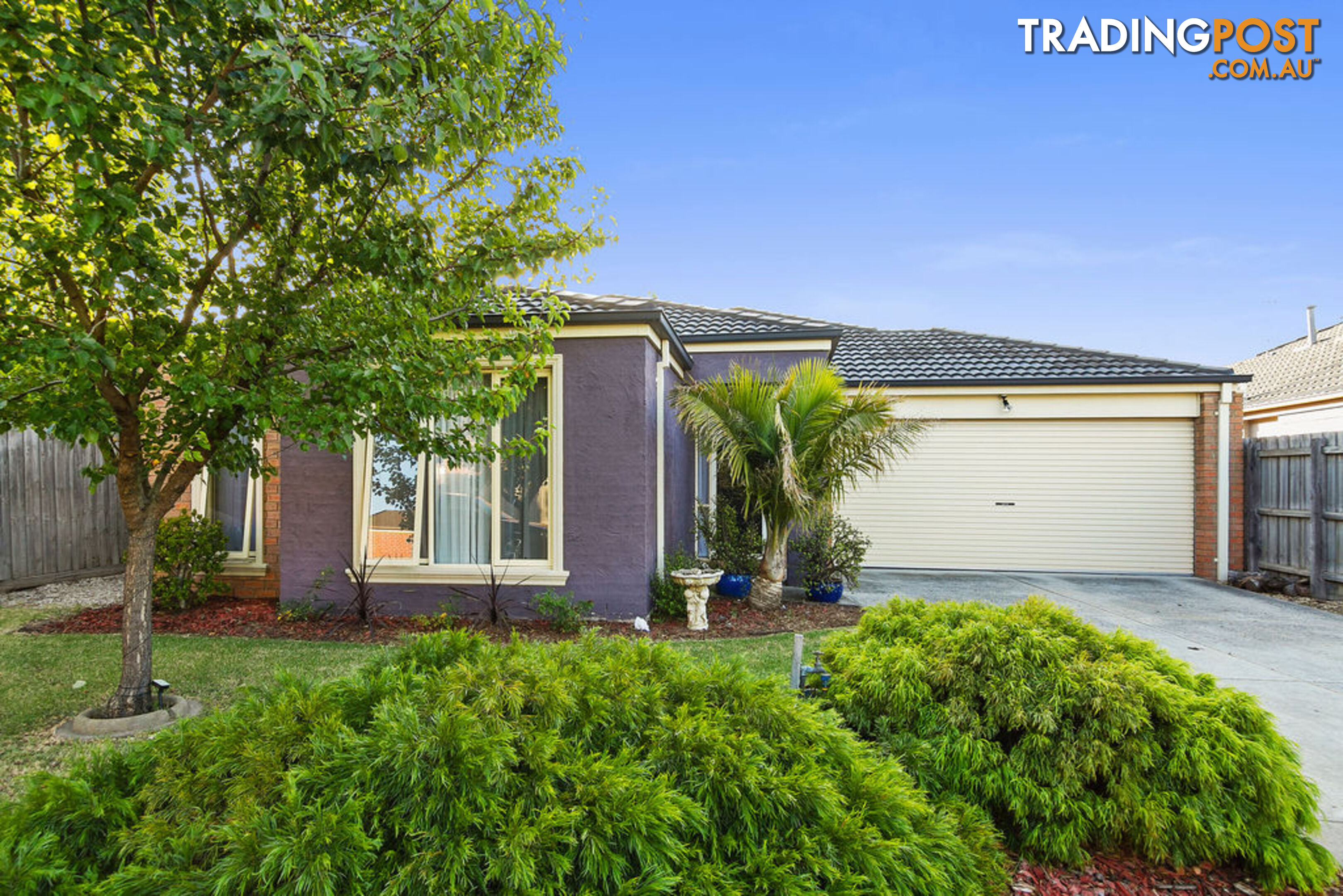 11 Tuileries Rise NARRE WARREN SOUTH VIC 3805