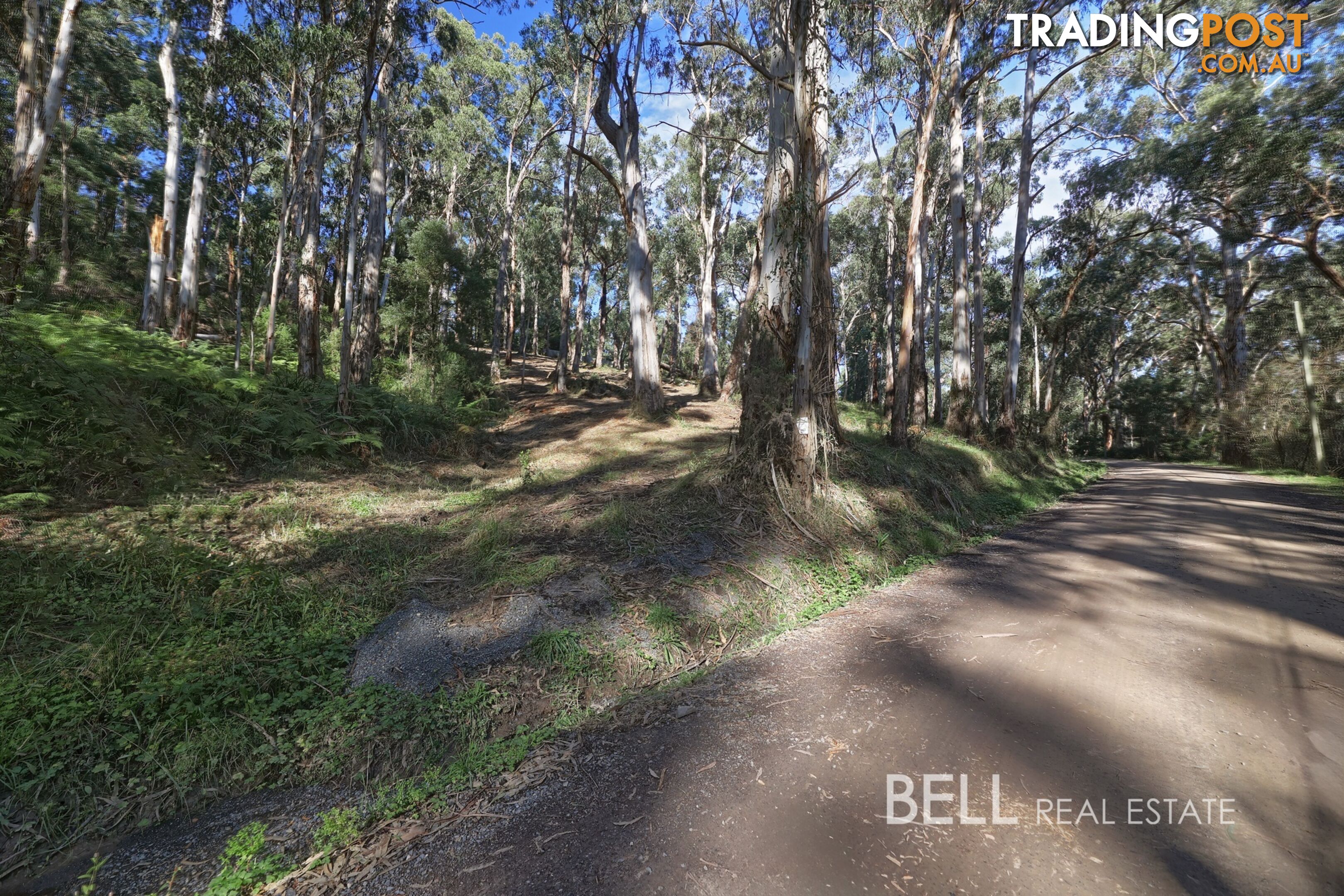 33 Selby Aura Road MENZIES CREEK VIC 3159