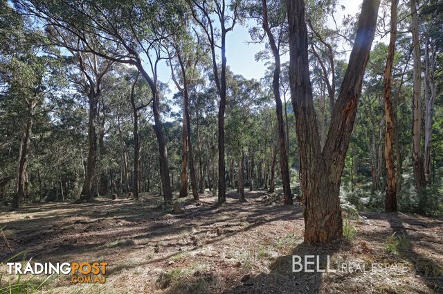 33 Selby Aura Road MENZIES CREEK VIC 3159