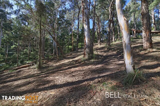 33 Selby Aura Road MENZIES CREEK VIC 3159