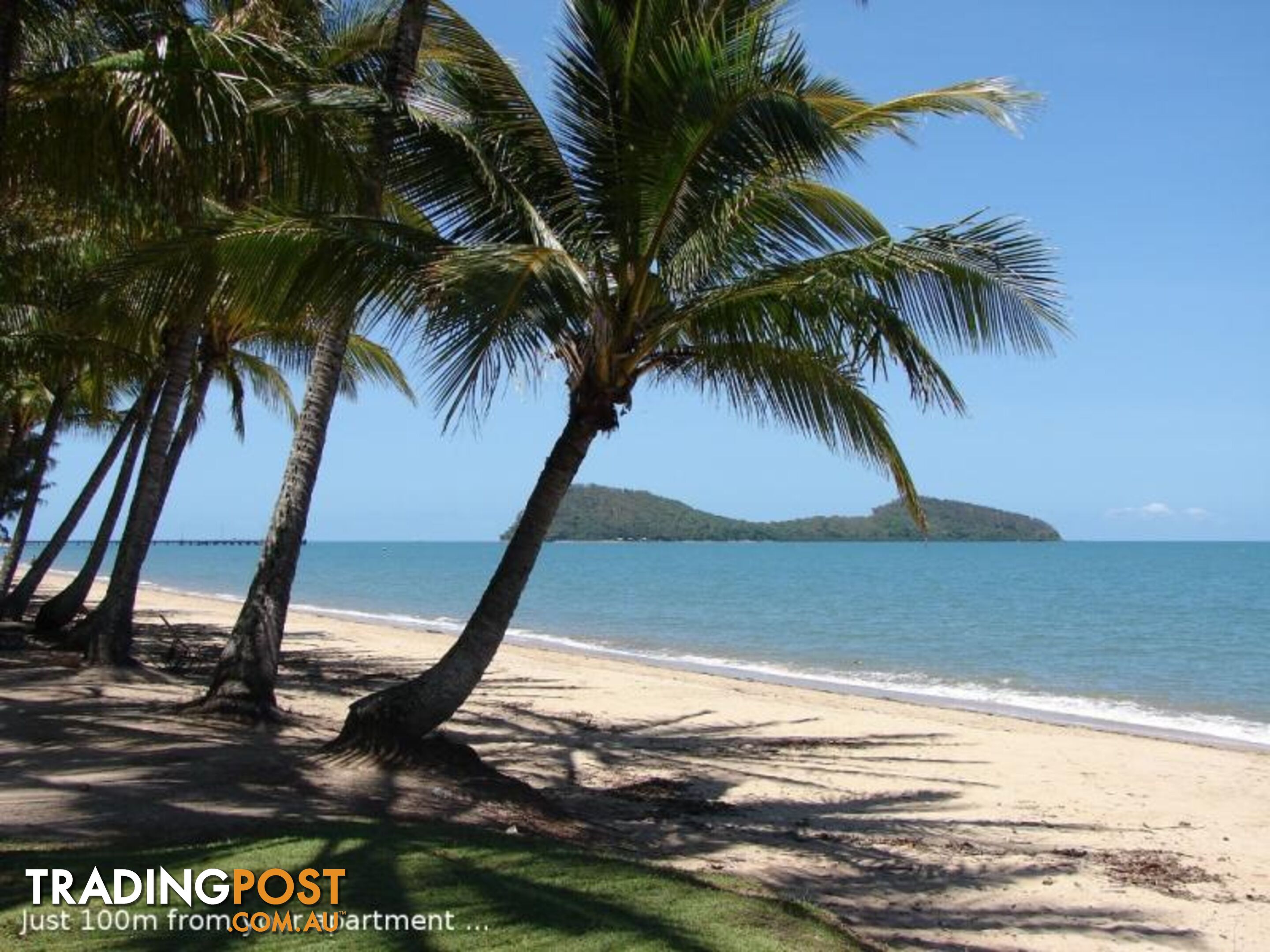 PALM COVE QLD 4879