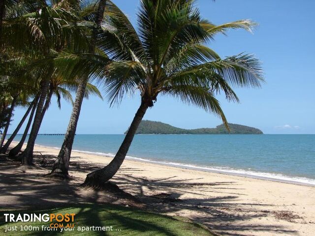 PALM COVE QLD 4879