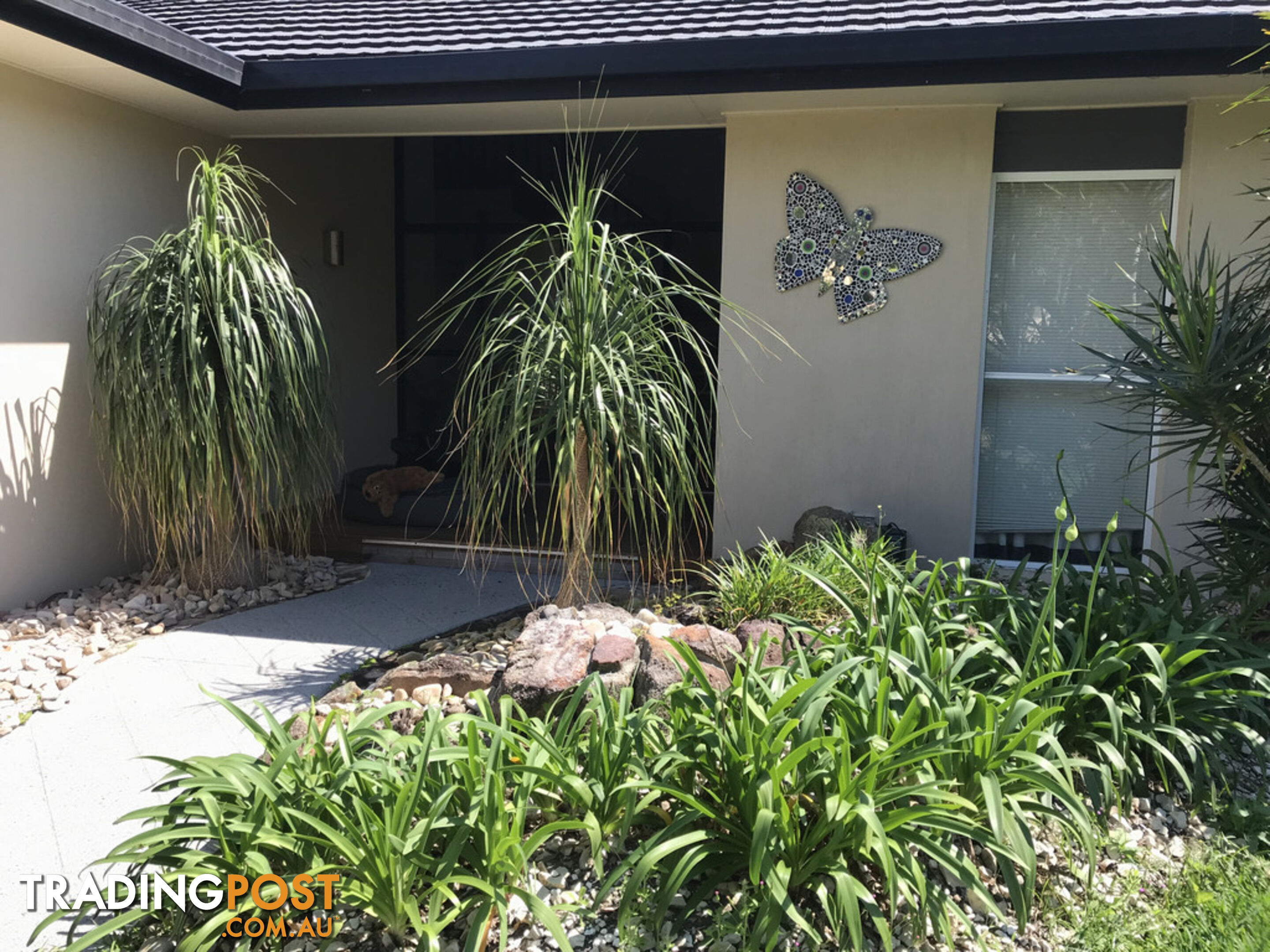 6 Goldfinch Court WURTULLA QLD 4575