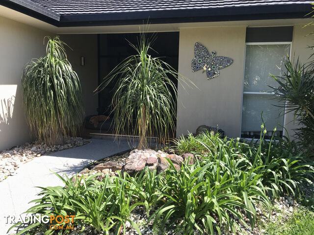 6 Goldfinch Court WURTULLA QLD 4575