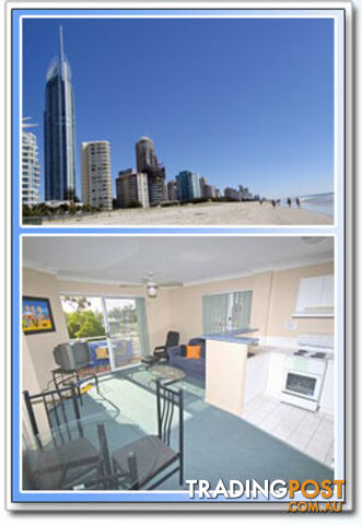 43 Cypress Ave SURFERS PARADISE QLD 4217