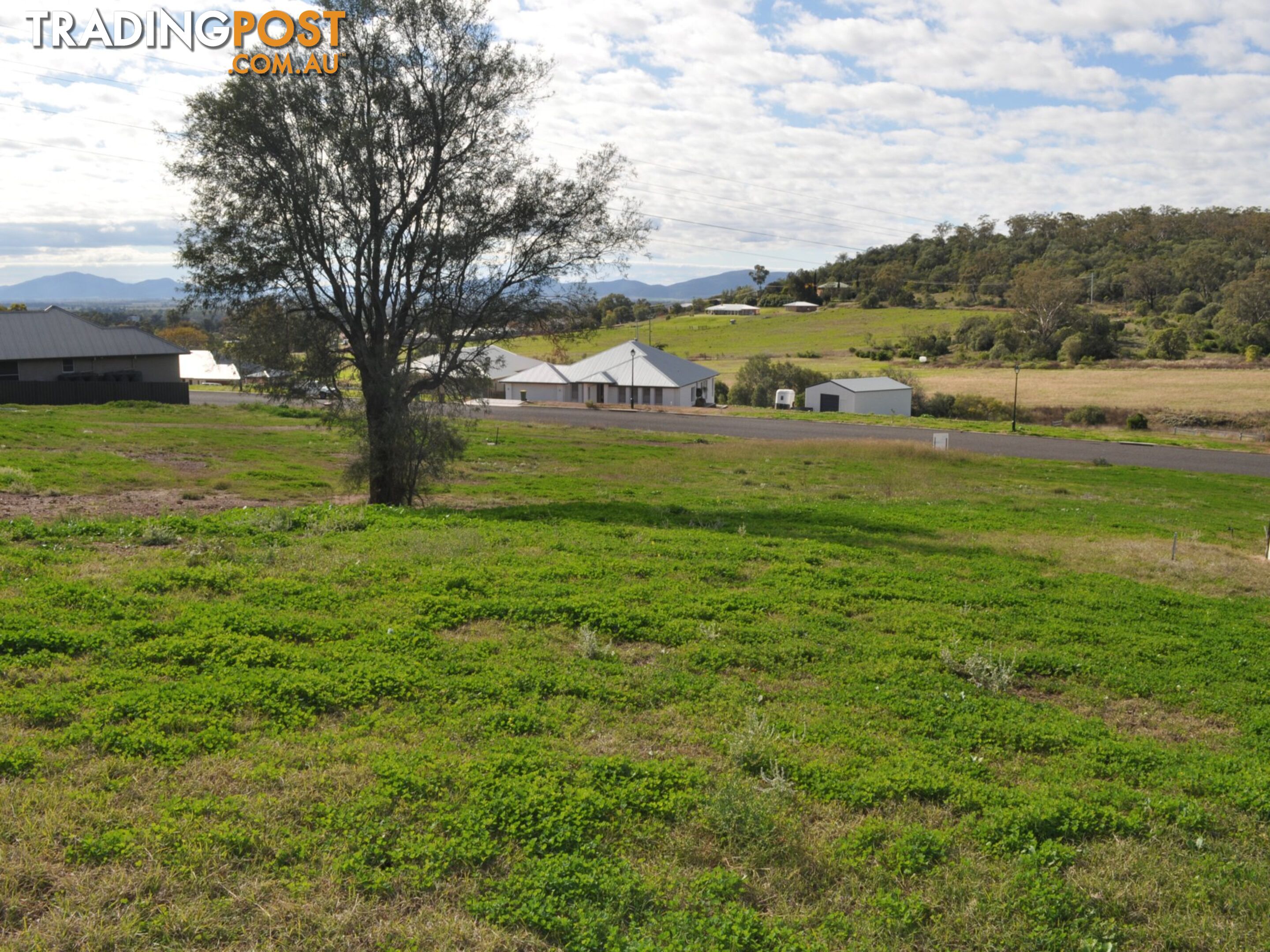 Lot 8 Sunnyside Farm GUNNEDAH NSW 2380