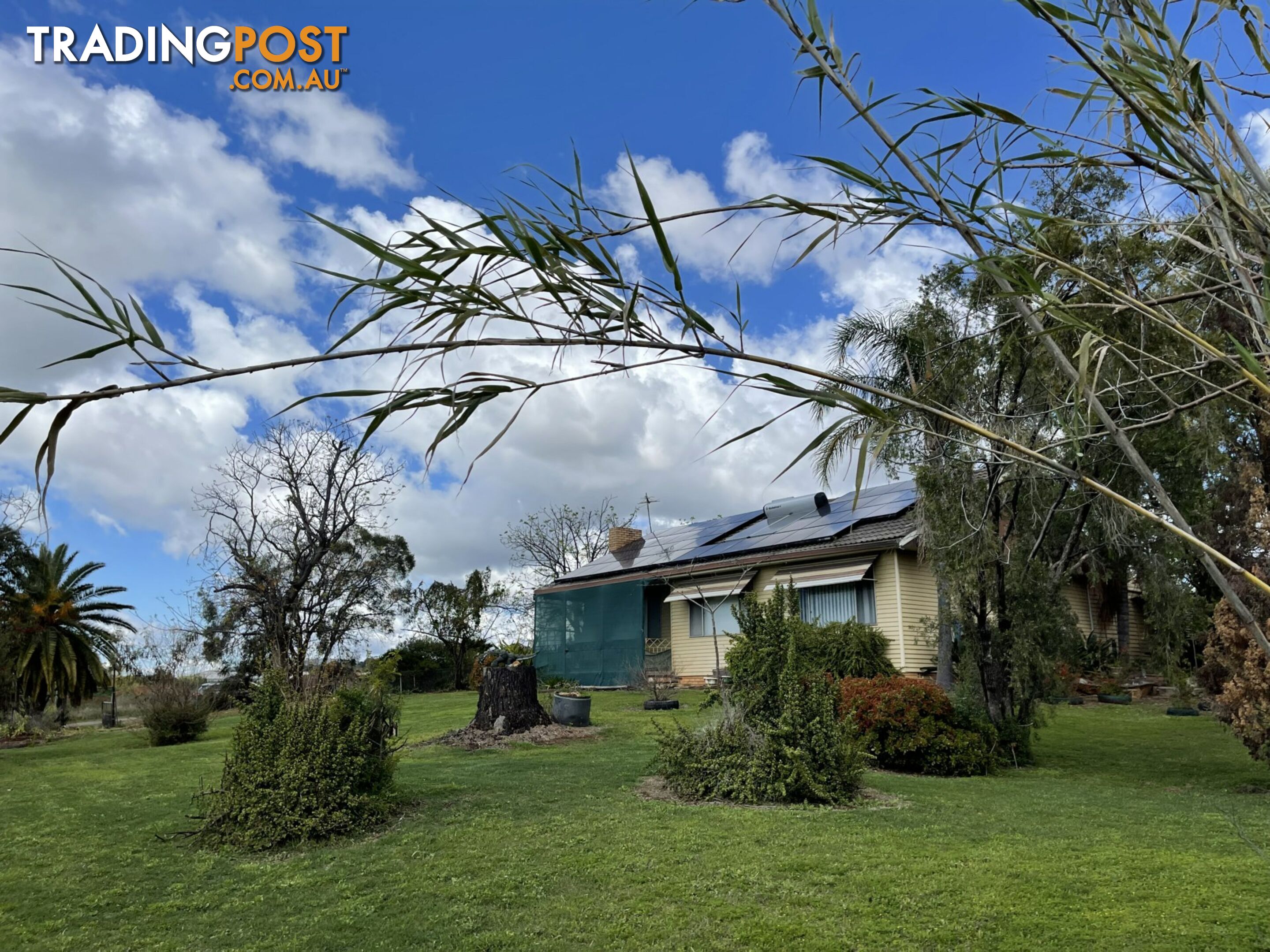 161 Mathias Road GUNNEDAH NSW 2380