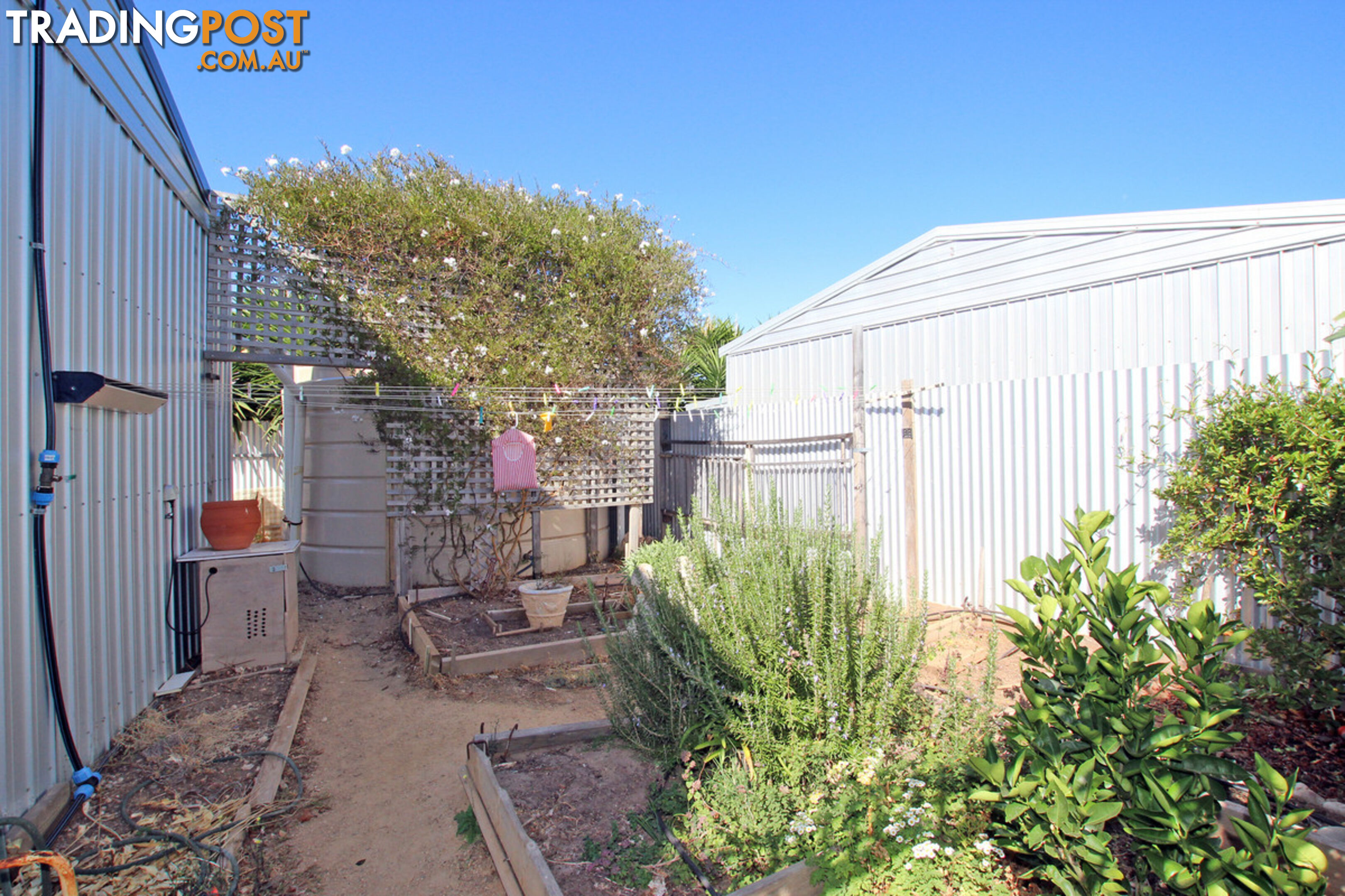 16 Harvey Crescent ALDINGA BEACH SA 5173