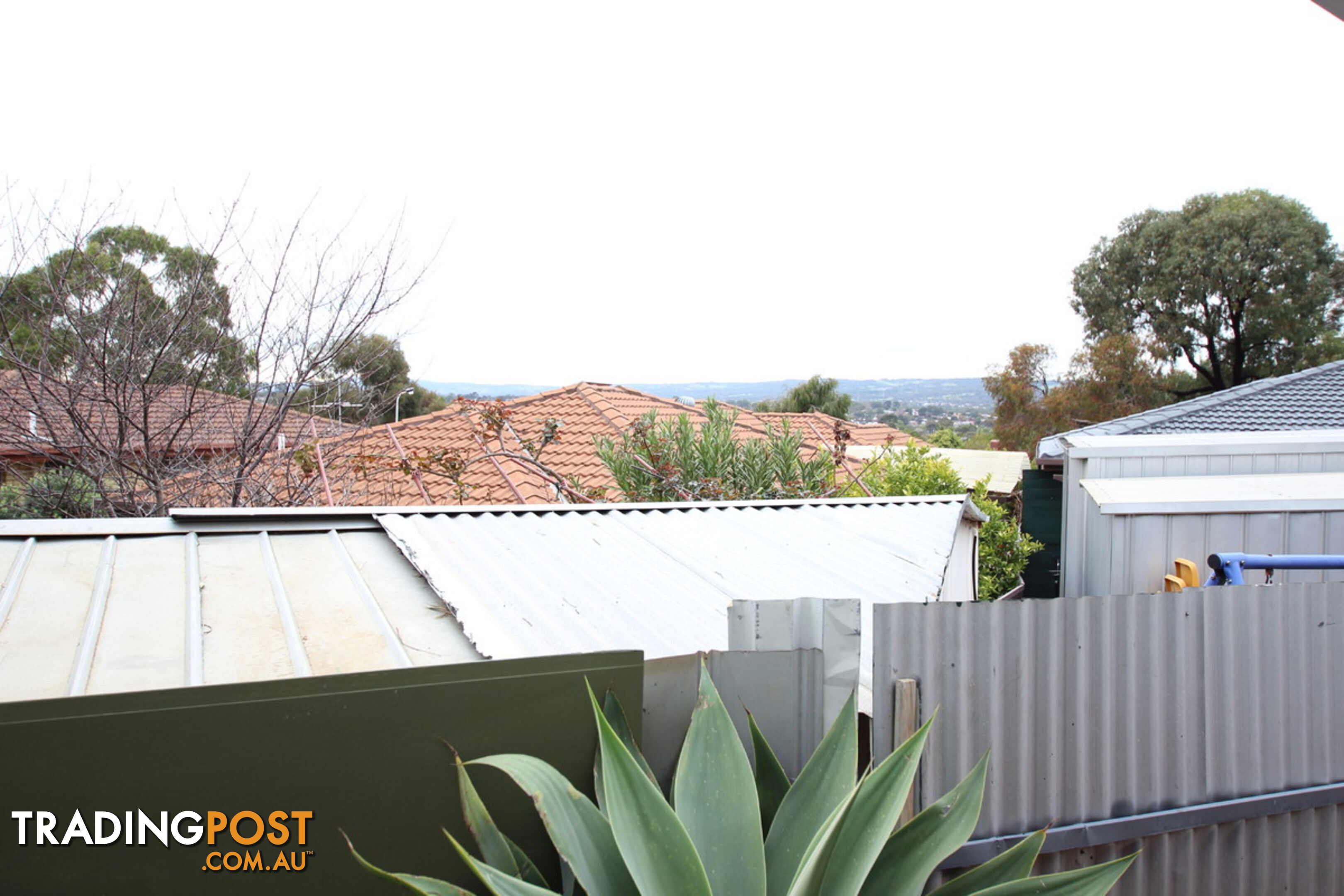 3 Olga Court MORPHETT VALE SA 5162