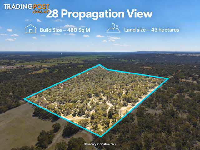 28 Propagation View MUCHEA WA 6501