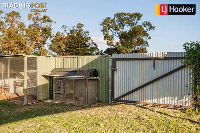 15 Goline Court HILLMAN WA 6168