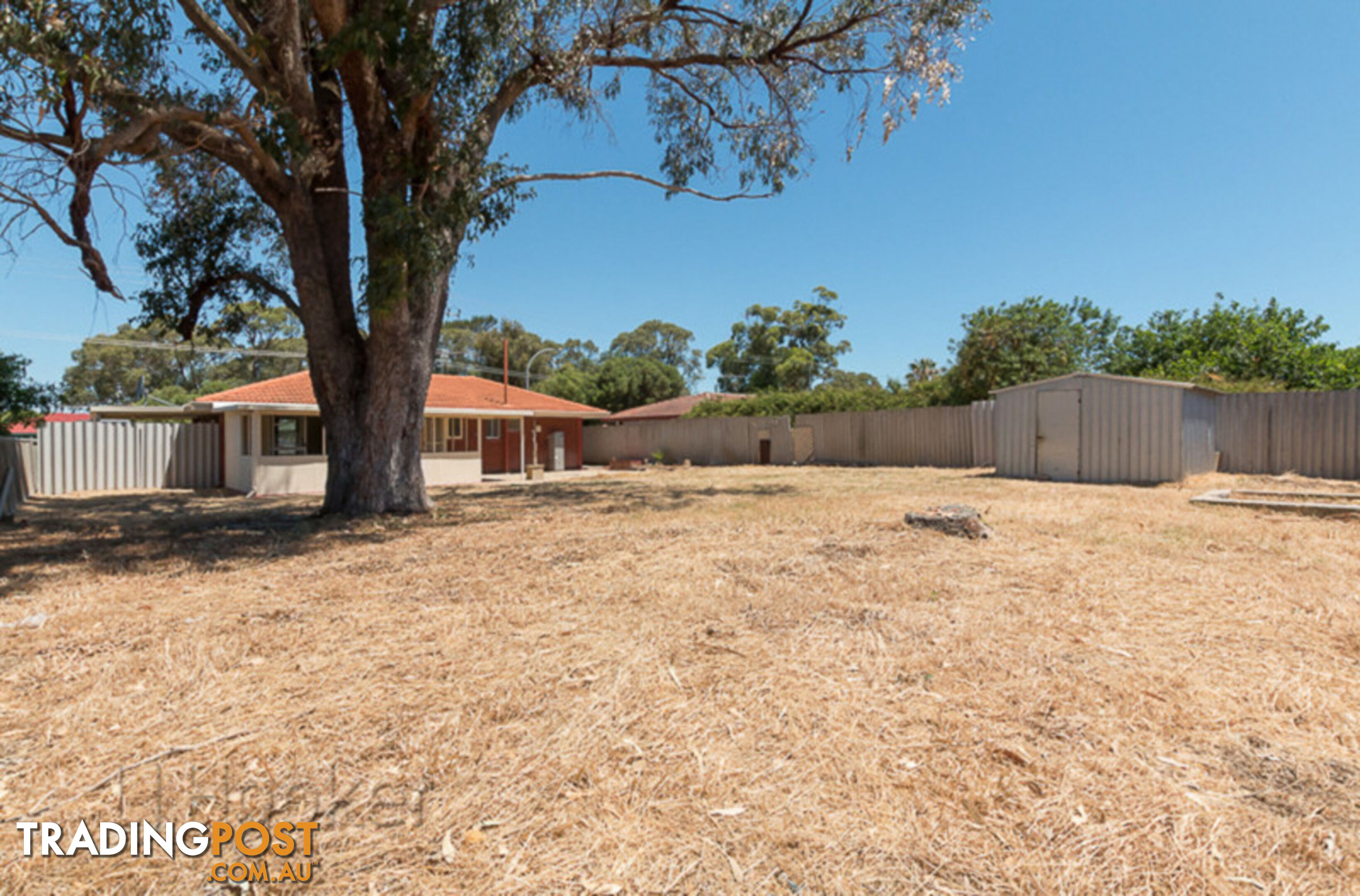 104 Milina Street HILLMAN WA 6168