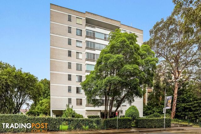 39/18-22 Victoria Street East BURWOOD NSW 2134