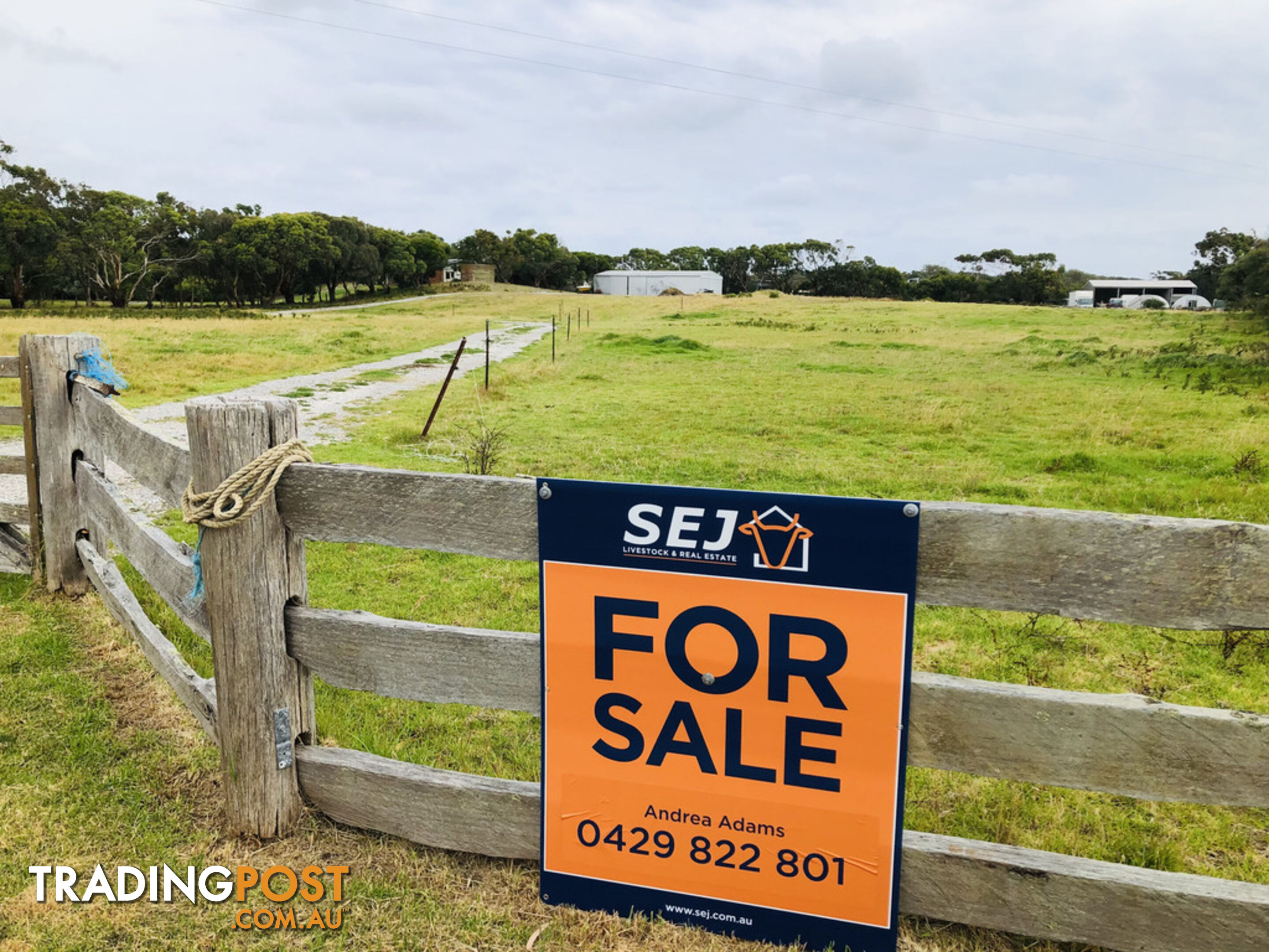 62 Sandy Point Rd SANDY POINT VIC 3959