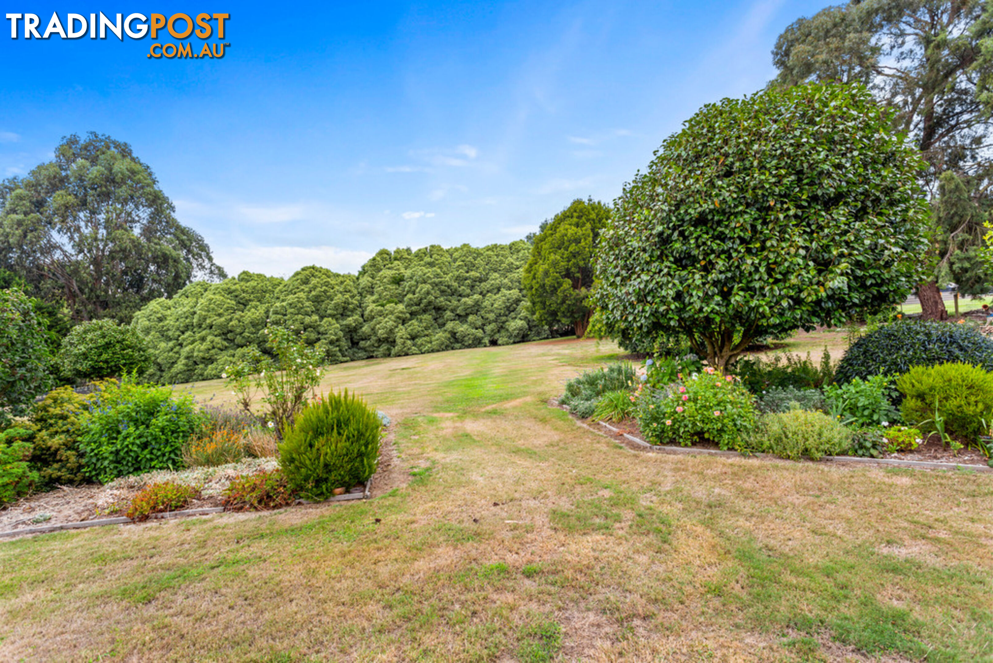 6 Pine Grove WARRAGUL VIC 3820