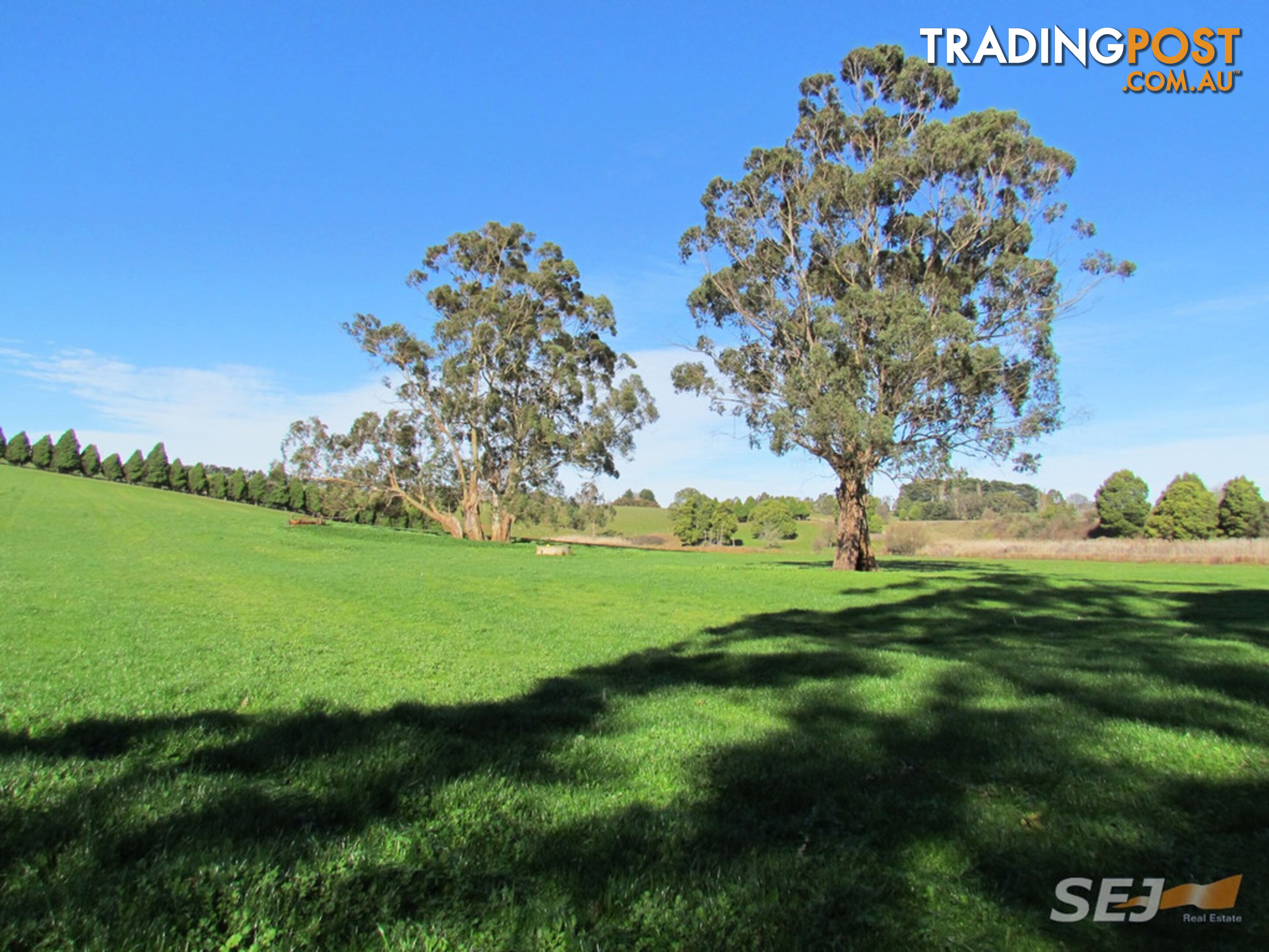 LOT 1 ON TP379503, RHODES ROAD DARNUM VIC 3822