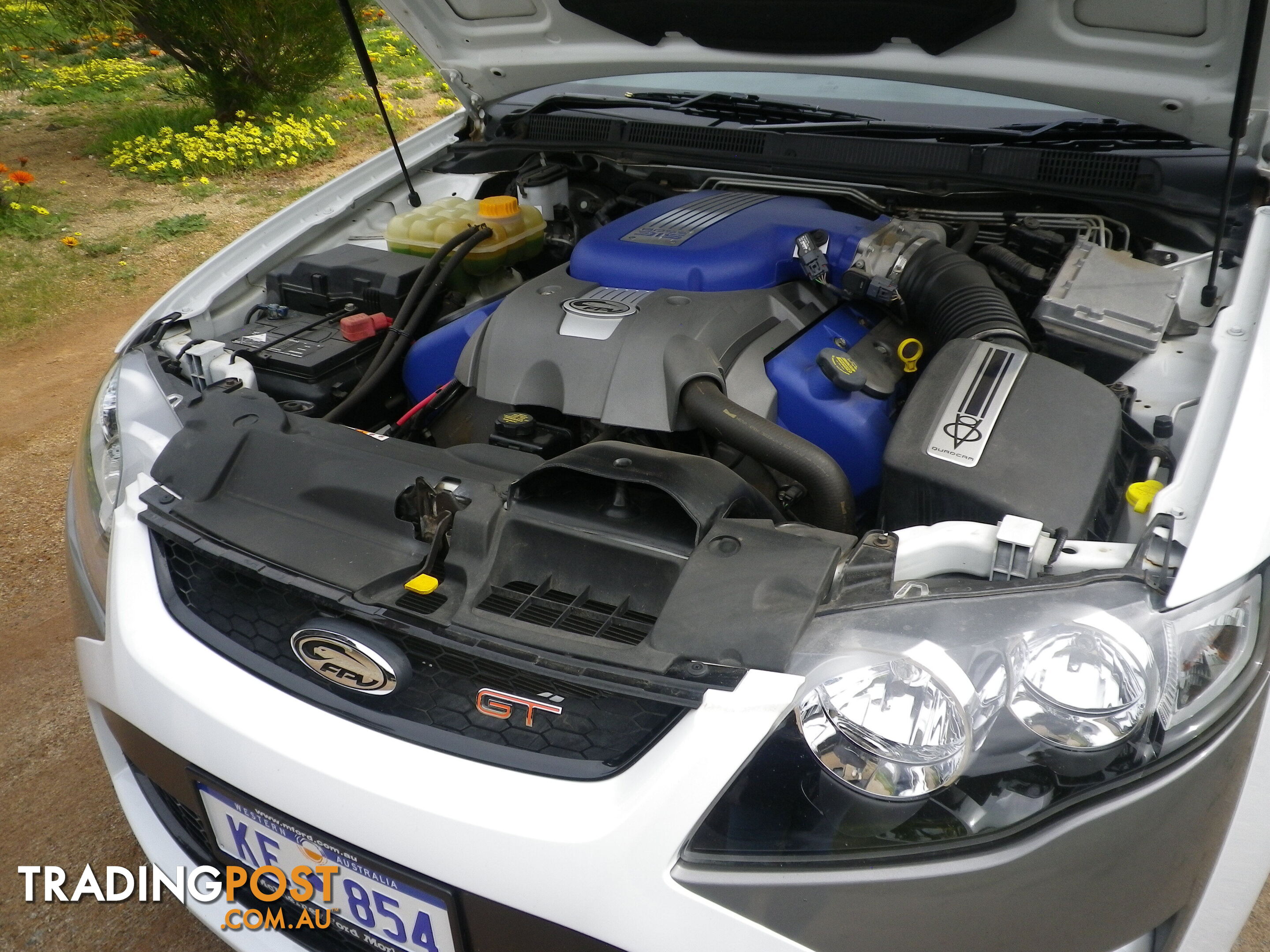 2009 Ford Falcon FG GT Sedan Automatic