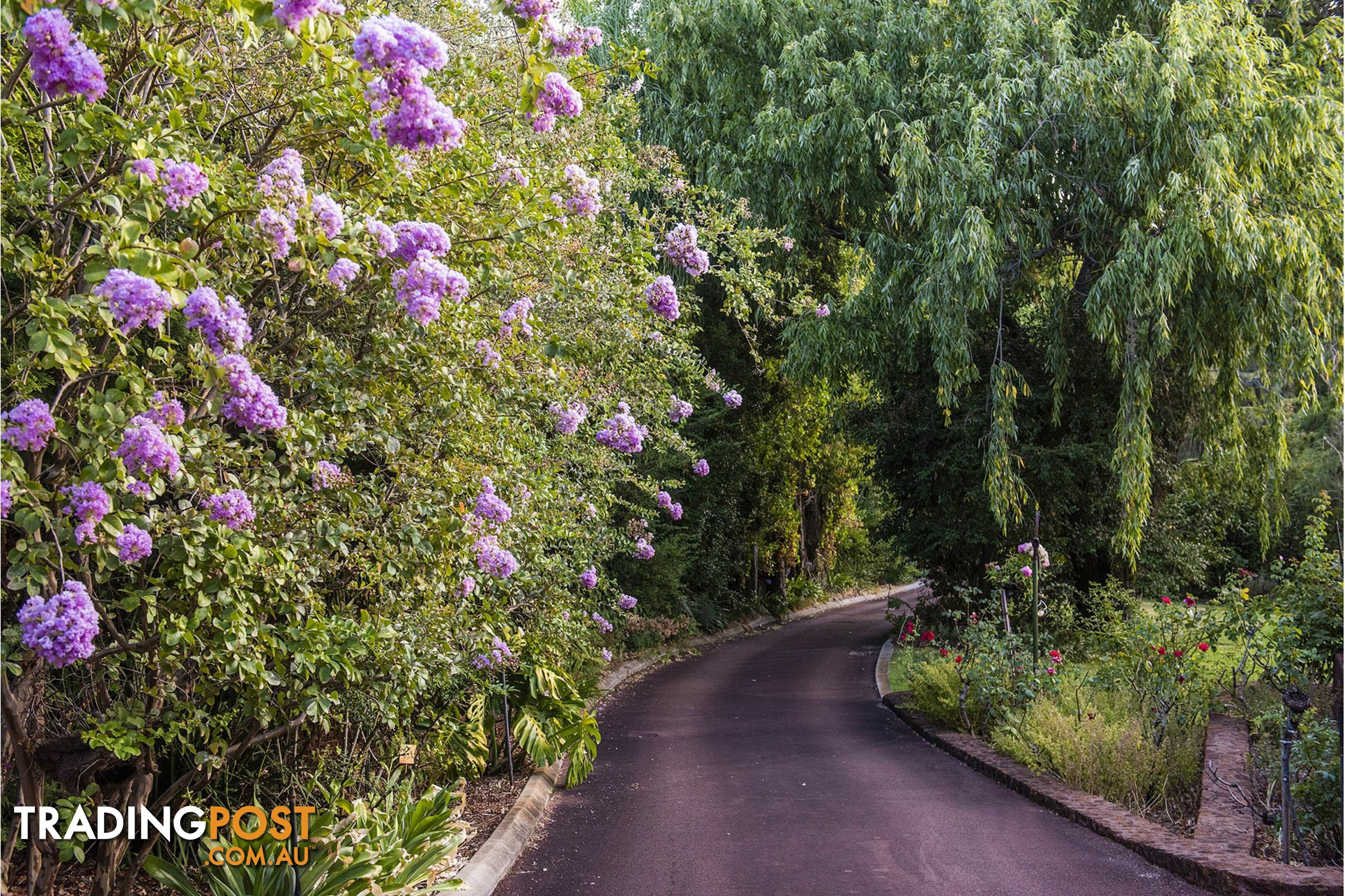 42 Kalamunda Road KALAMUNDA WA 6076