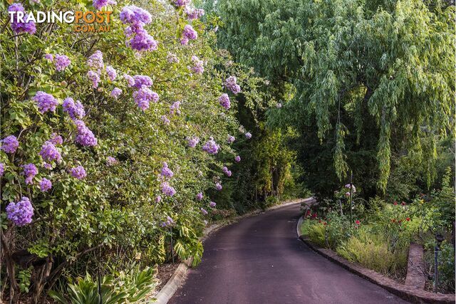 42 Kalamunda Road KALAMUNDA WA 6076