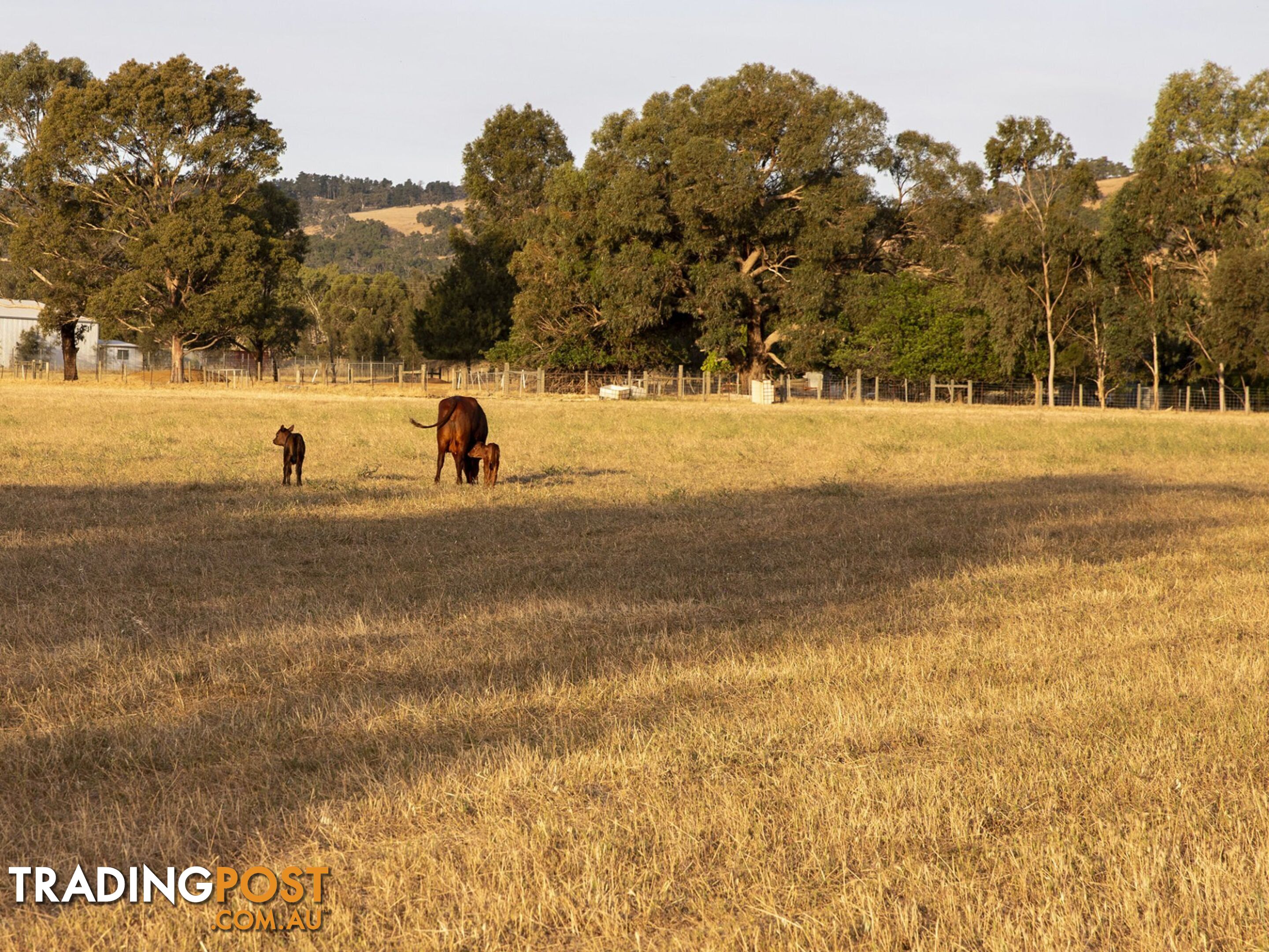 2 Warren Road BULLSBROOK WA 6084