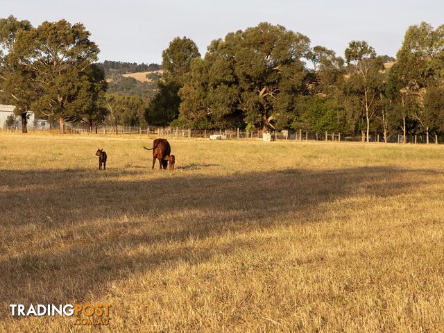 2 Warren Road BULLSBROOK WA 6084