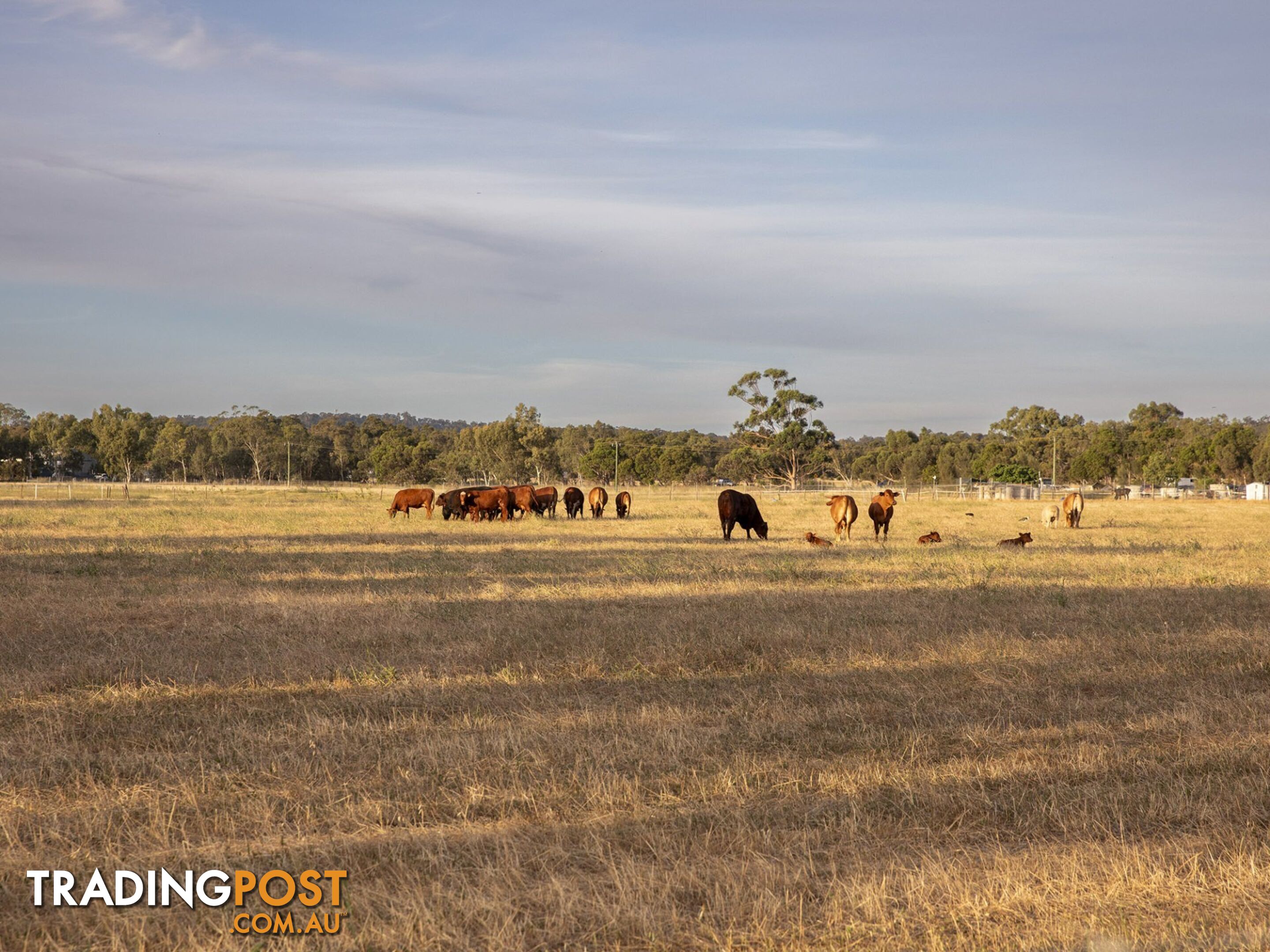 2 Warren Road BULLSBROOK WA 6084