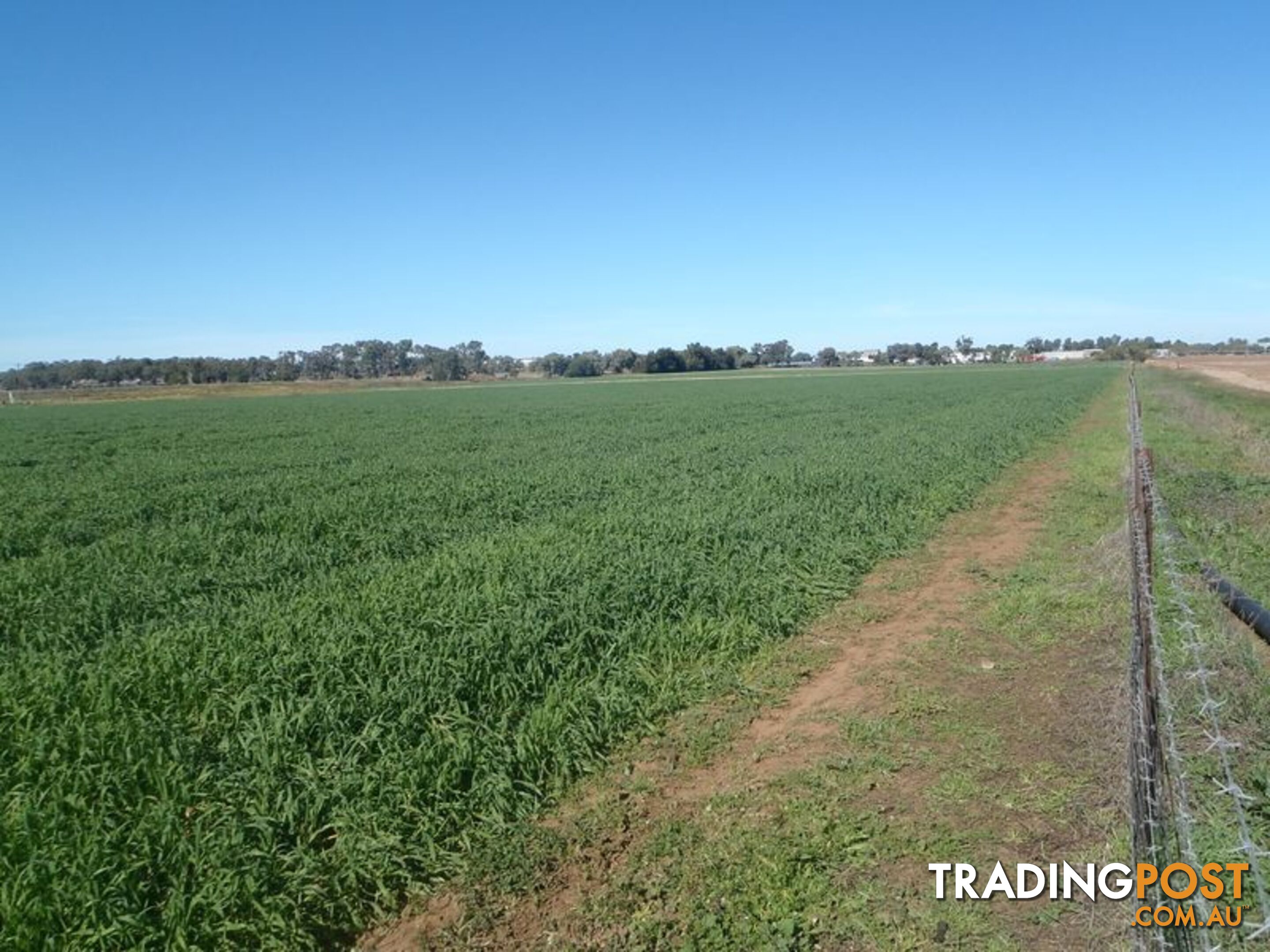 Lot 41 Old Gilgandra Road DUBBO NSW 2830