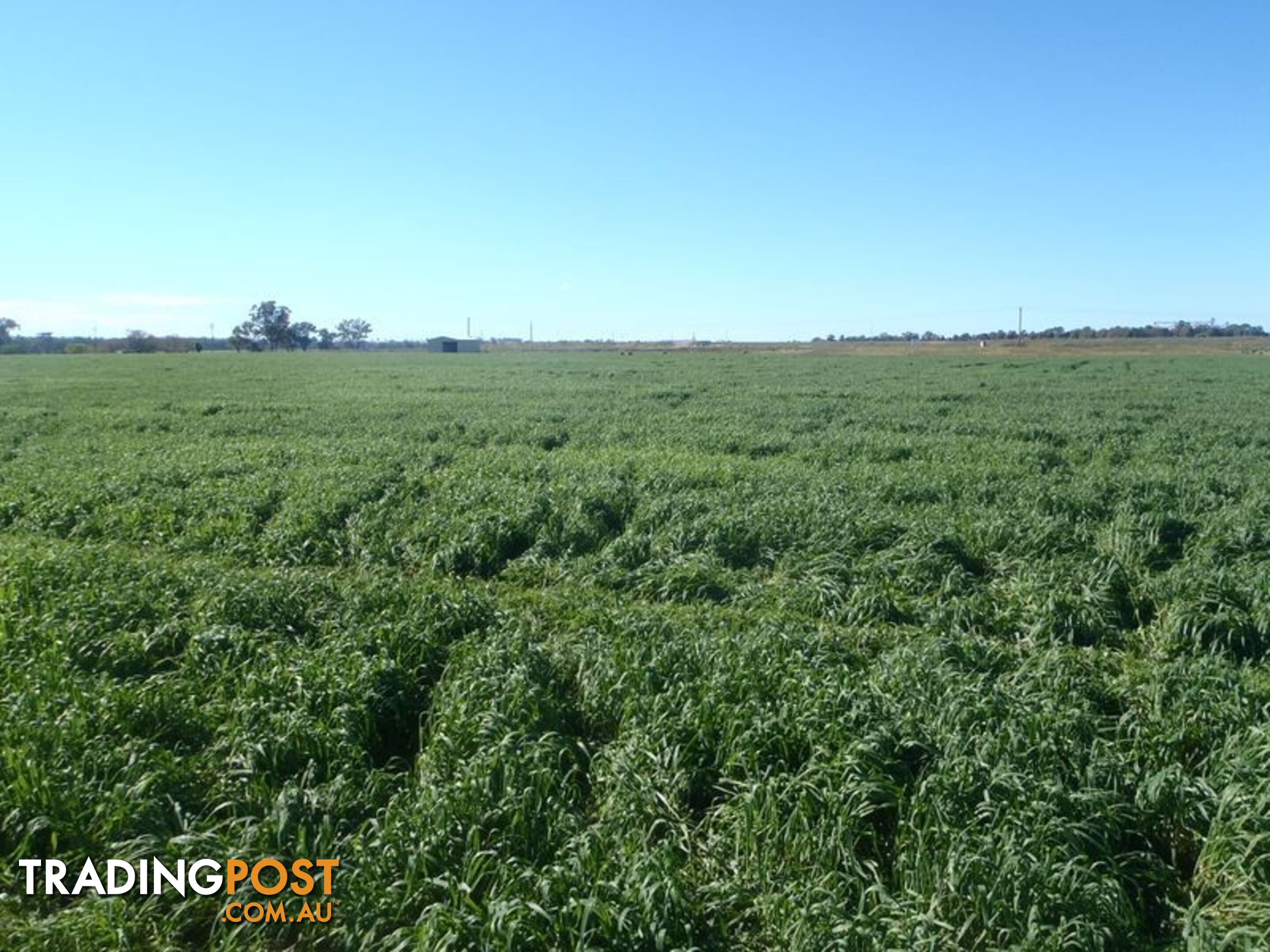 Lot 41 Old Gilgandra Road DUBBO NSW 2830