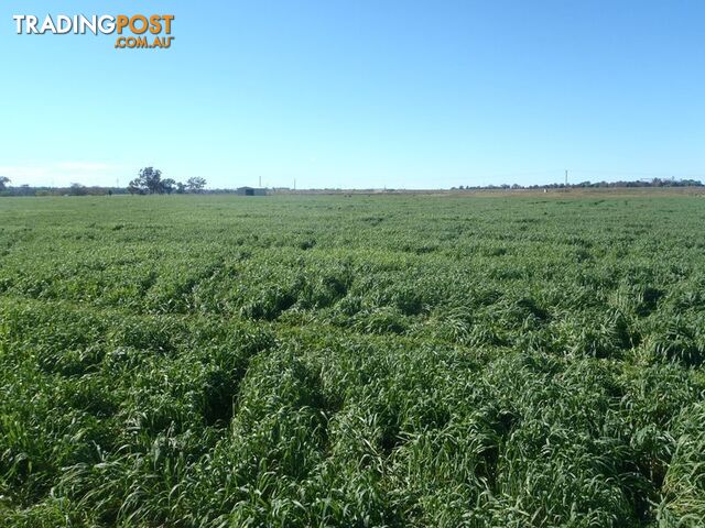 Lot 41 Old Gilgandra Road DUBBO NSW 2830