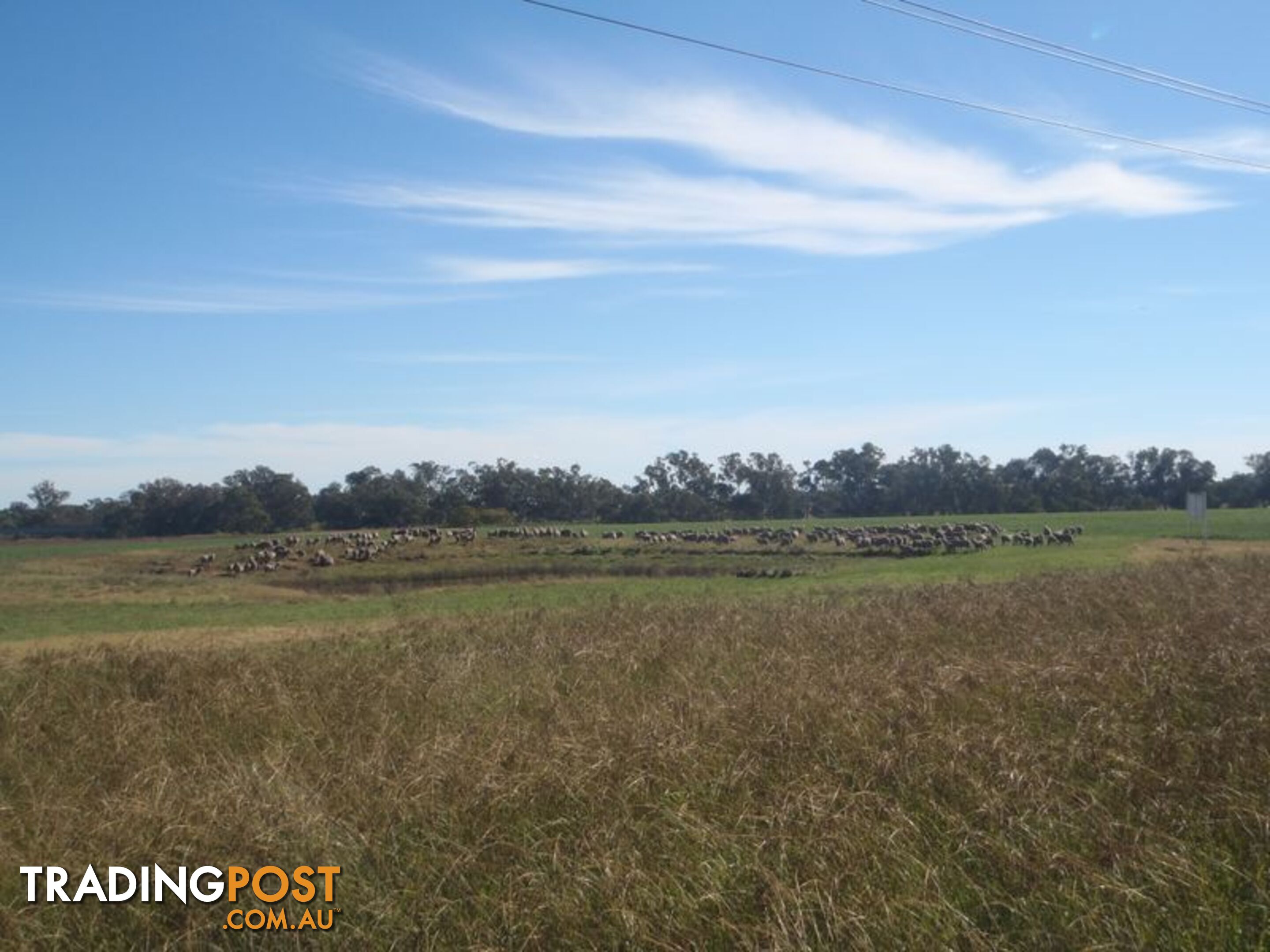 Lot 41 Old Gilgandra Road DUBBO NSW 2830