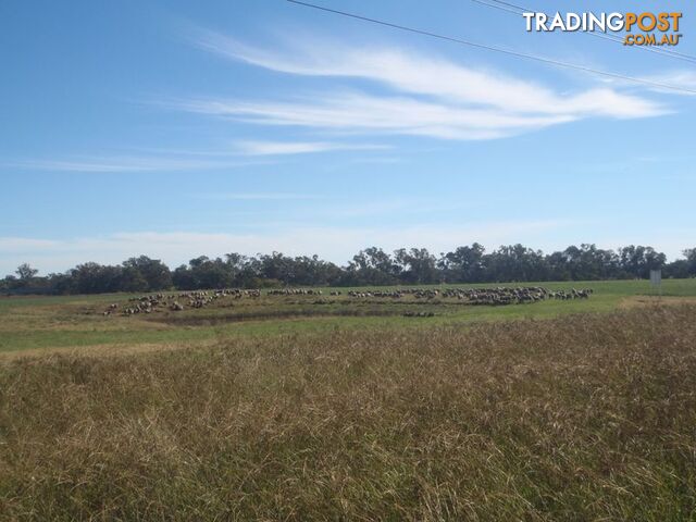 Lot 41 Old Gilgandra Road DUBBO NSW 2830