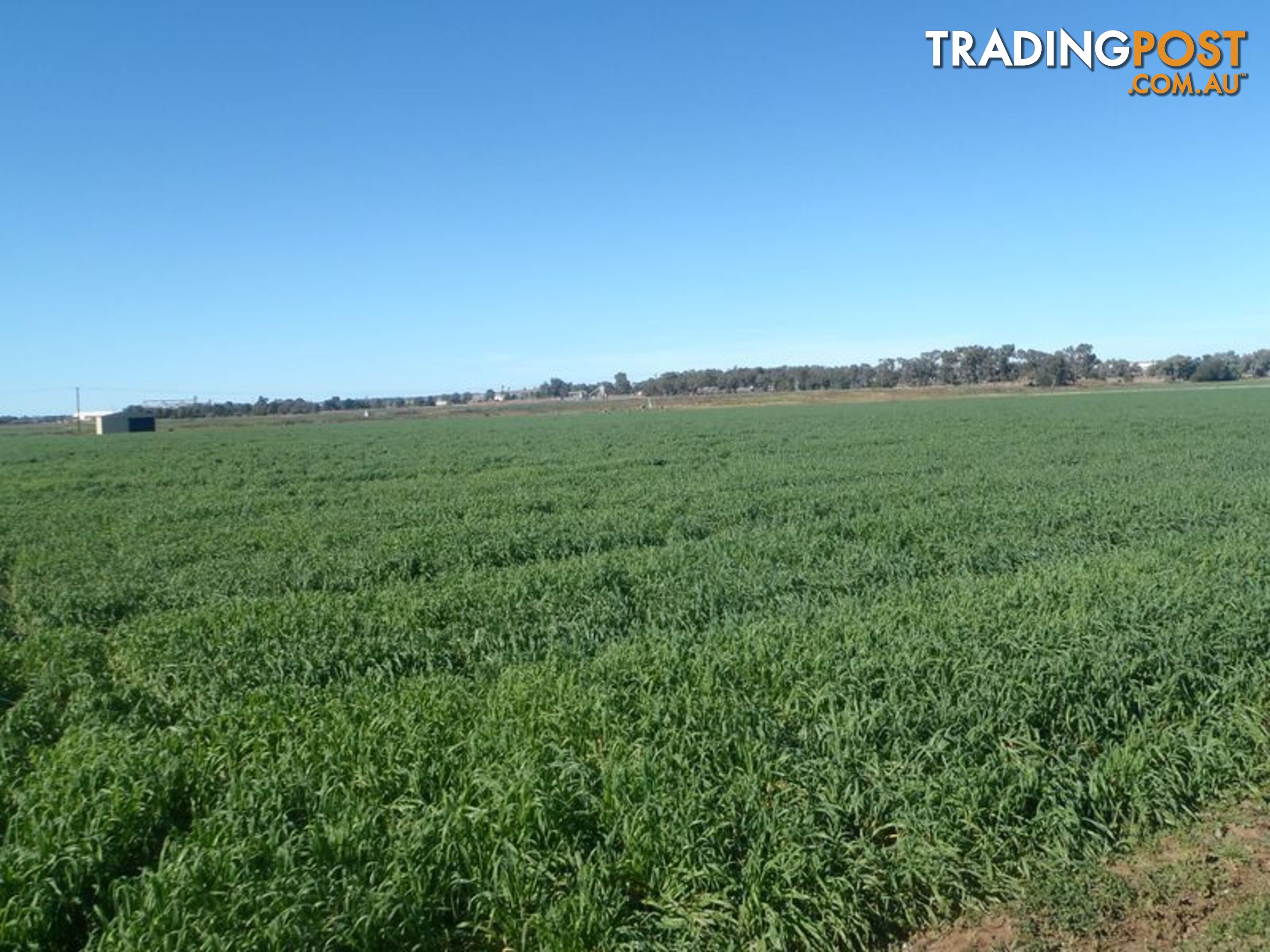 Lot 41 Old Gilgandra Road DUBBO NSW 2830