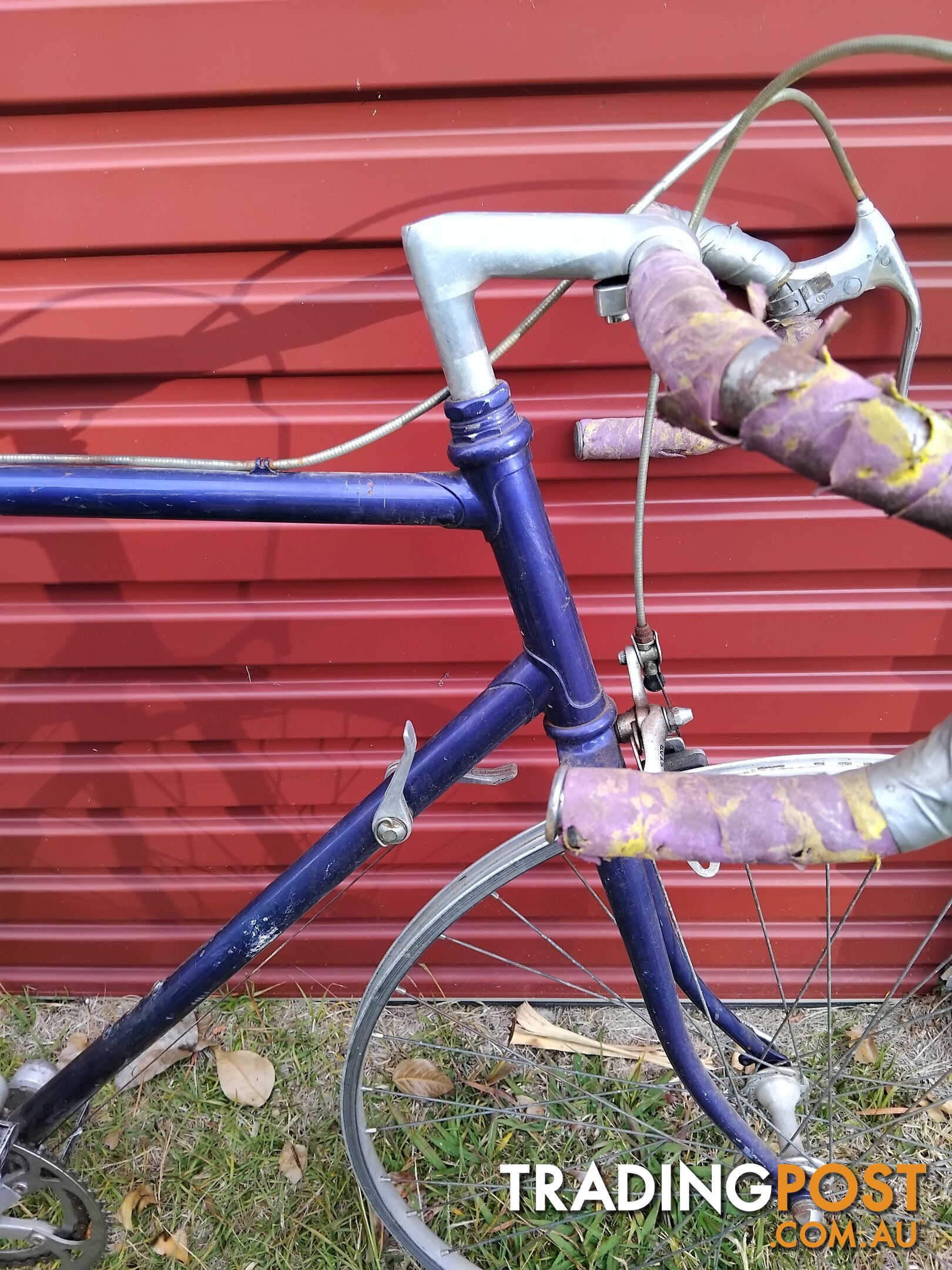 Collector Mystery Bicycle