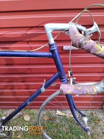 Collector Mystery Bicycle