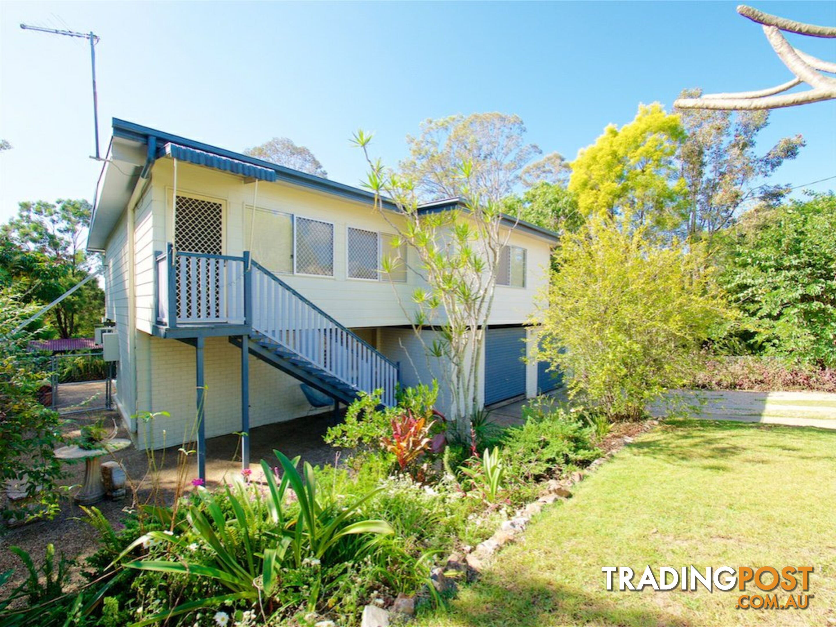 17 Sapium Street KINGSTON QLD 4114