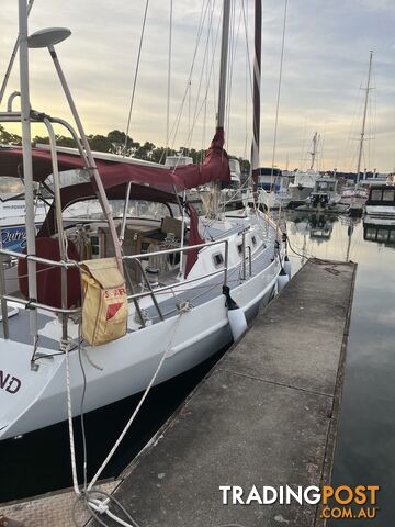 Adam’s 40