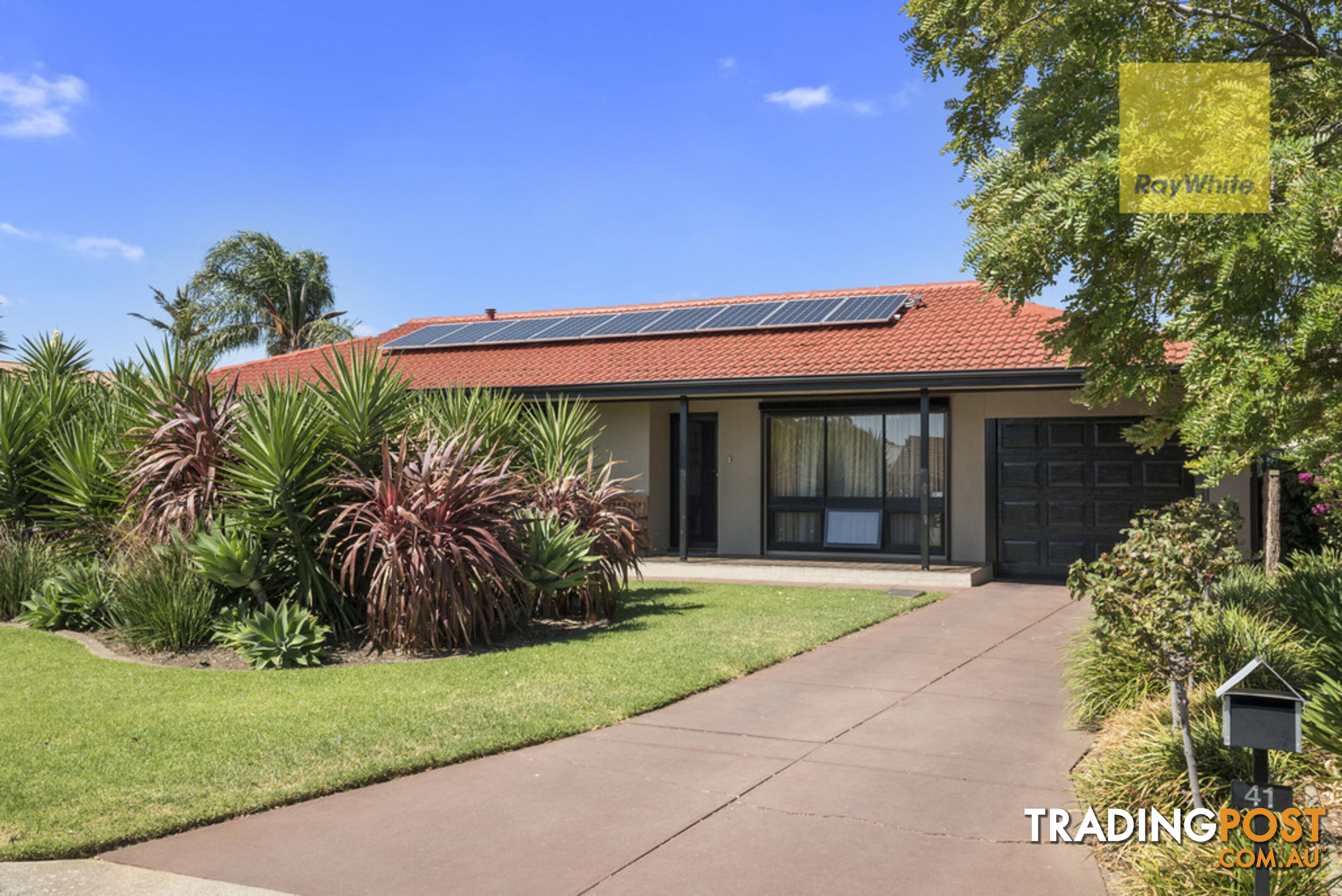 41 Mitchell Street GLENGOWRIE SA 5044