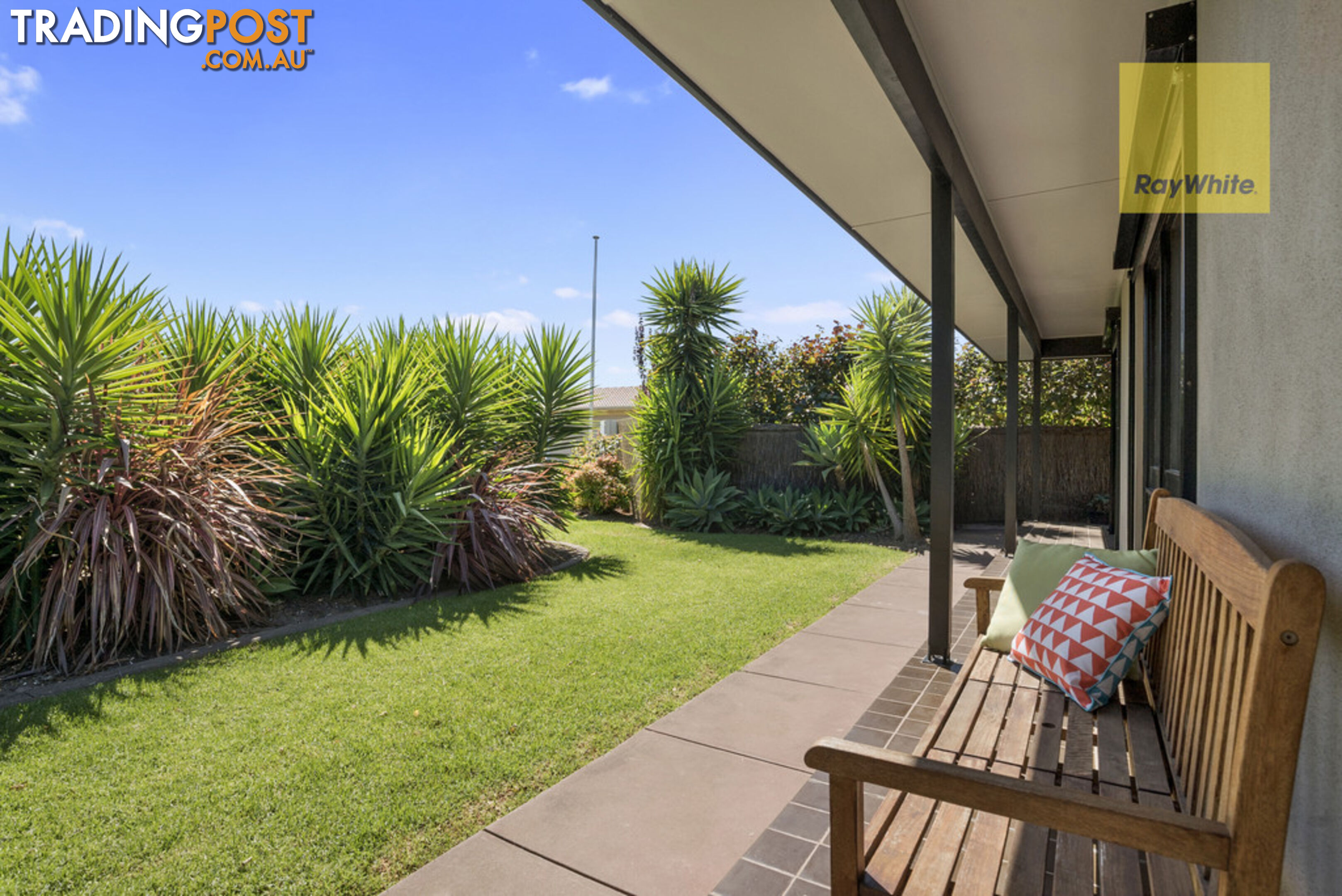 41 Mitchell Street GLENGOWRIE SA 5044