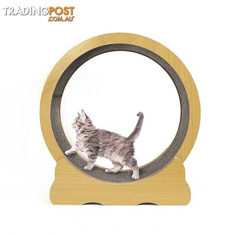 Cat Running Wheel w/ Carpet Runway Cat Exercise Wheel for Fitness Cat