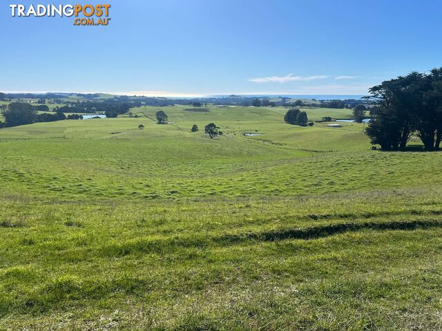 1373 Mount Hicks Road MOUNT HICKS TAS 7325