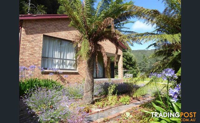 6 Harvey Street QUEENSTOWN TAS 7467