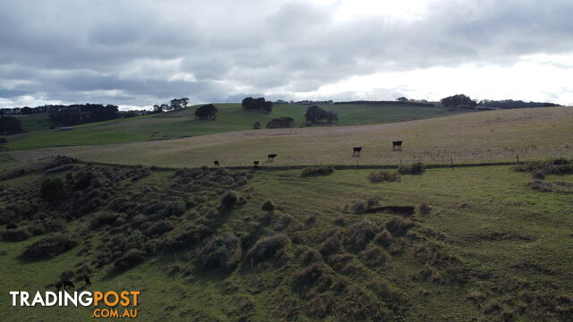 Pecks Road FLOWERDALE TAS 7325